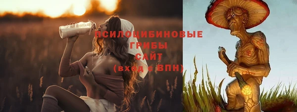 экстази Абаза