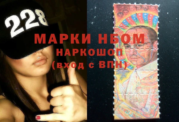 PSILOCYBIN Алзамай