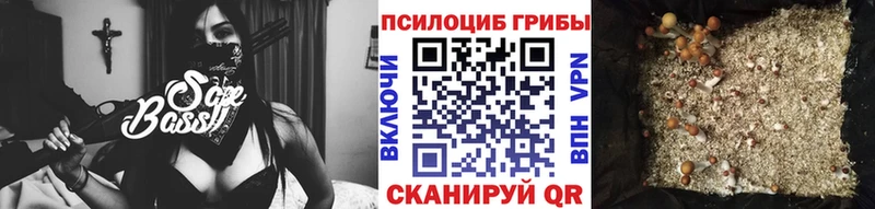площадка официальный сайт  МЕГА как зайти  Почеп  Псилоцибиновые грибы GOLDEN TEACHER 