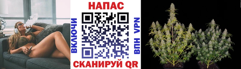 kraken ТОР  Почеп  Бошки марихуана OG Kush 